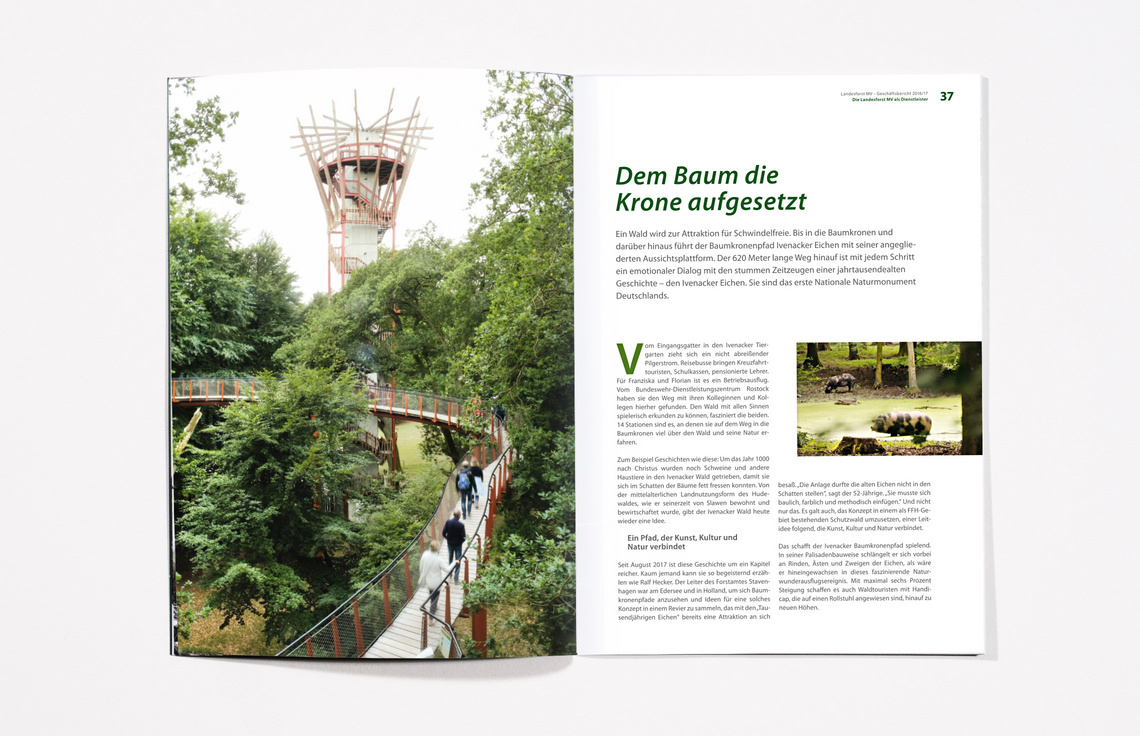 Geschäftsbericht 2016/17 für die Landesforst Mecklenburg-Vorpommern, Innenseiten, Annualreport Design, Printdesign, Fotografie Jann Wilken