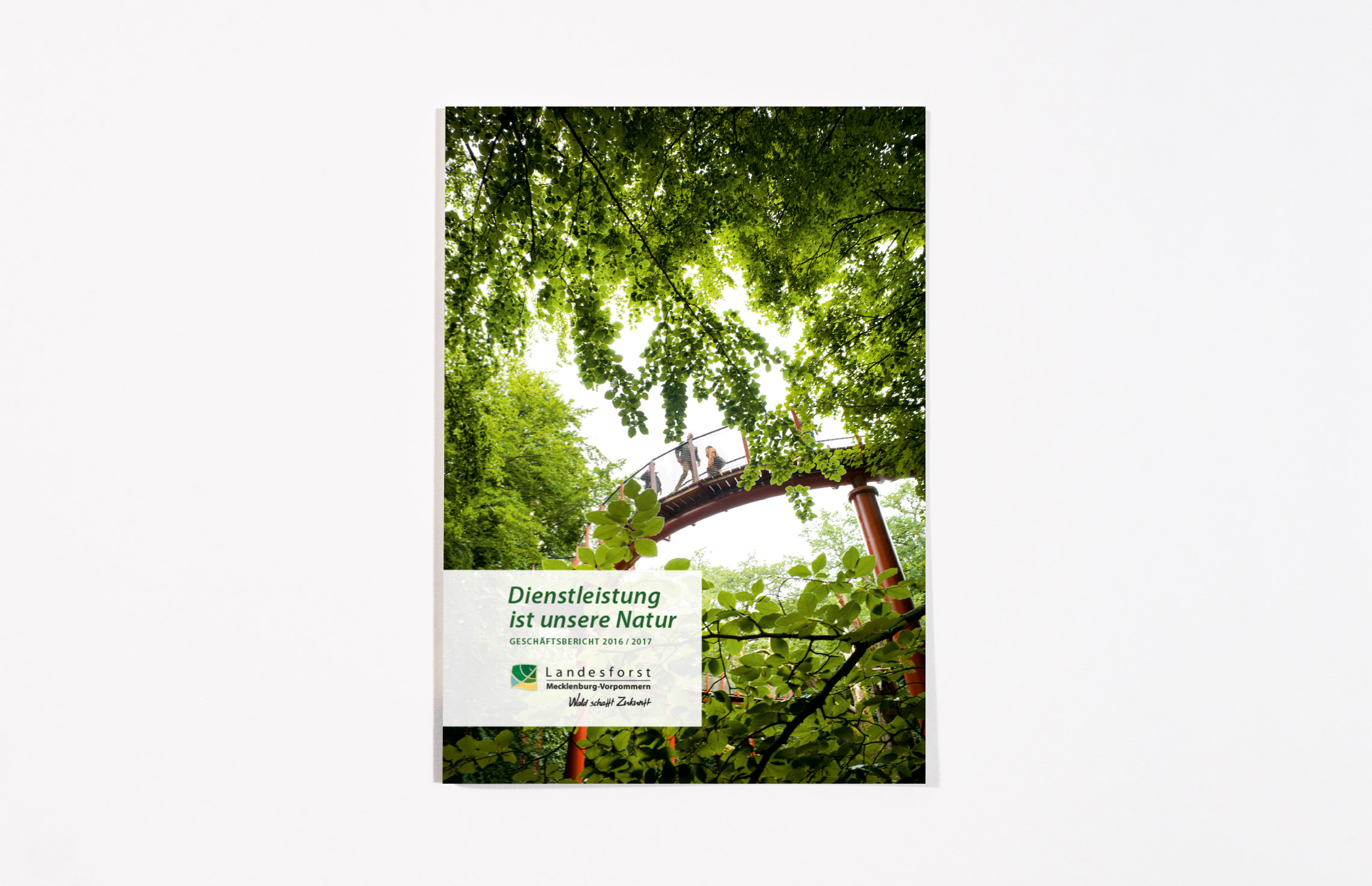 Geschäftsbericht 2016/17 für die Landesforst Mecklenburg-Vorpommern, Titel, Annualreport Design, Printdesign, Fotografie Jann Wilken