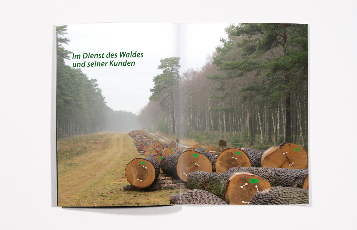 Geschäftsbericht 2016/17 für die Landesforst Mecklenburg-Vorpommern, Innenseiten, Annualreport Design, Printdesign