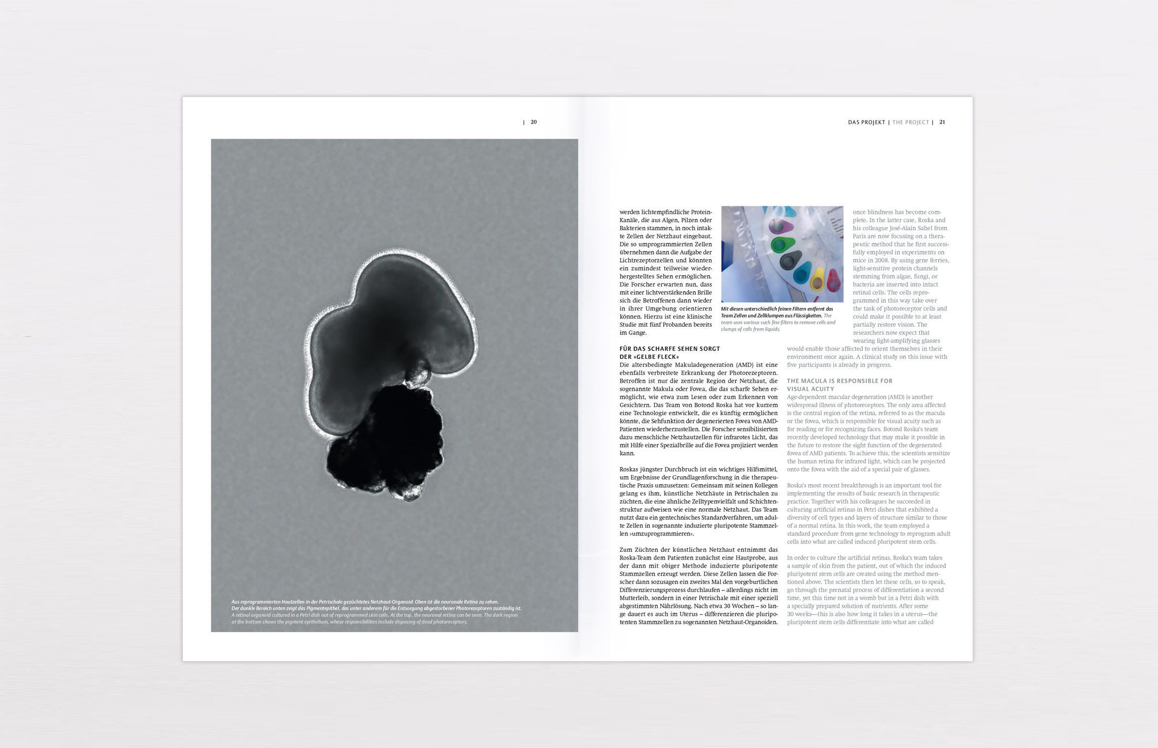 Innenseiten aus der Körber-Preis-Broschüre 2020, wissenschaftliche Abbildung, Körber Stiftung, Hamburg, Editorial Design und  Printdesign, Typografie
